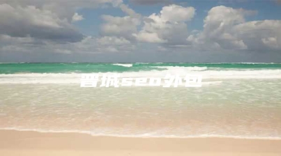 晋城seo外包