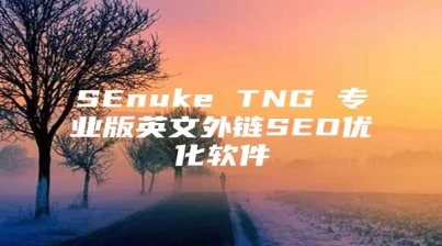 SEnuke TNG 专业版英文外链SEO优化软件