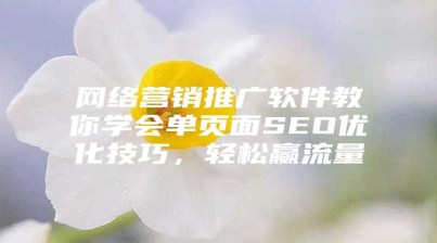 网络营销推广软件教你学会单页面SEO优化技巧，轻松赢流量