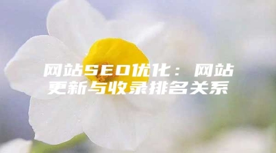 网站SEO优化：网站更新与收录排名关系
