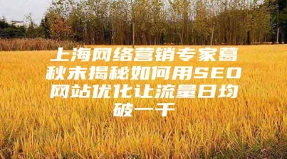 上海网络营销专家葛秋末揭秘如何用SEO网站优化让流量日均破一千
