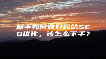 新手如何做好网站SEO优化，该怎么下手？