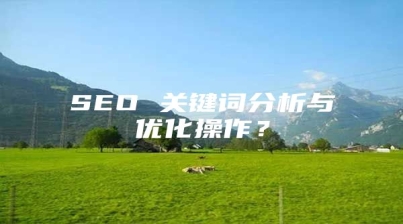 SEO 关键词分析与优化操作？