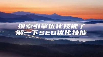 搜索引擎优化技能了解一下SEO优化技能
