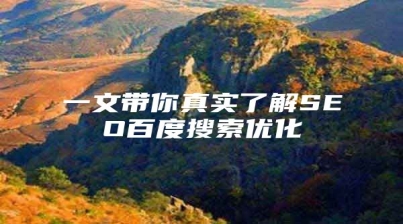 一文带你真实了解SEO百度搜索优化