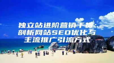 独立站进阶营销干货：剖析网站SEO优化与主流推广引流方式