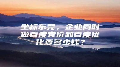 坐标东莞，企业同时做百度竞价和百度优化要多少钱？