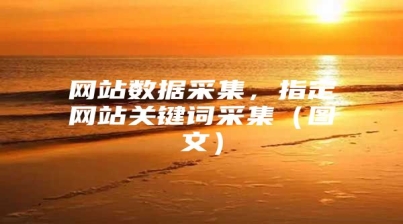 网站数据采集，指定网站关键词采集（图文）