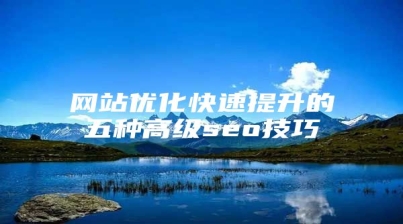 网站优化快速提升的五种高级seo技巧