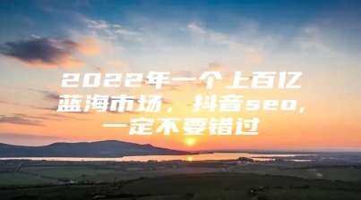 2022年一个上百亿蓝海市场，抖音seo,一定不要错过