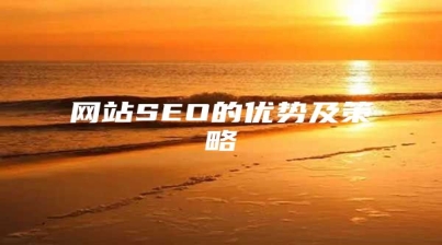 网站SEO的优势及策略