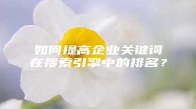 如何提高企业关键词在搜索引擎中的排名？
