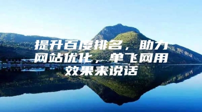 提升百度排名，助力网站优化，单飞网用效果来说话