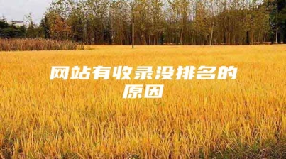网站有收录没排名的原因