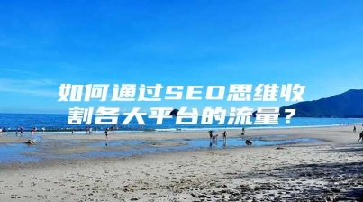 如何通过SEO思维收割各大平台的流量？