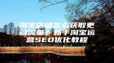 淘宝店铺怎么获取更多流量？新手淘宝运营SEO优化教程