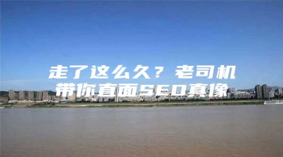 走了这么久？老司机带你直面SEO真像