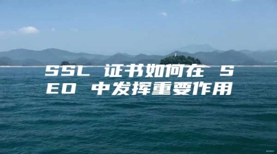 SSL 证书如何在 SEO 中发挥重要作用