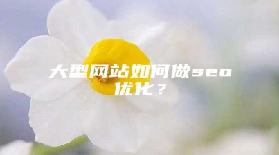大型网站如何做seo优化？