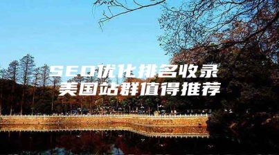 SEO优化排名收录 美国站群值得推荐