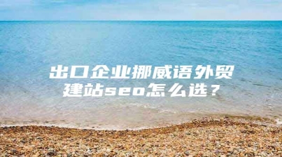 出口企业挪威语外贸建站seo怎么选？