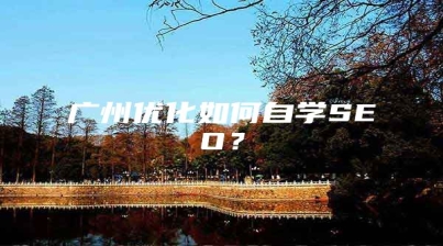 广州优化如何自学SEO？