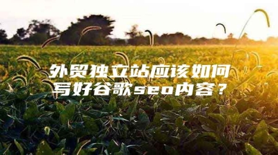 外贸独立站应该如何写好谷歌seo内容？