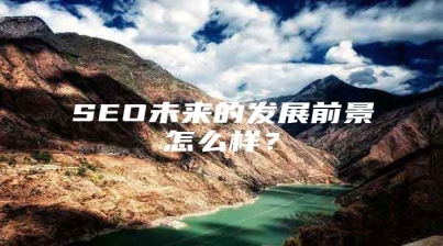 SEO未来的发展前景怎么样？