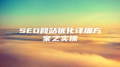 SEO网站优化详细方案之实操