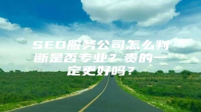SEO服务公司怎么判断是否专业？贵的一定更好吗？