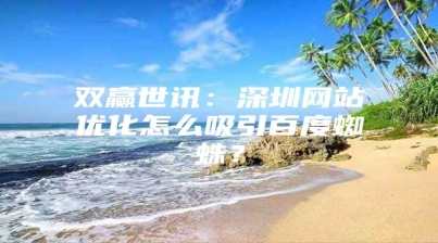 双赢世讯：深圳网站优化怎么吸引百度蜘蛛？