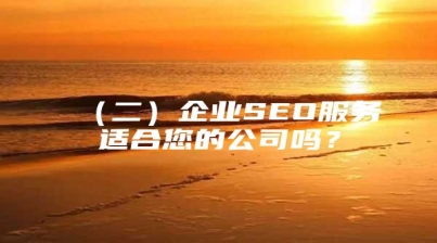 （二）企业SEO服务适合您的公司吗？