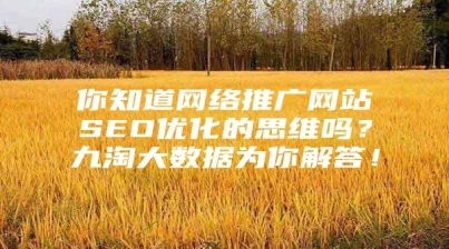你知道网络推广网站SEO优化的思维吗？九淘大数据为你解答！