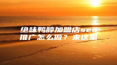 绝味鸭脖加盟店seo推广怎么做？来这里