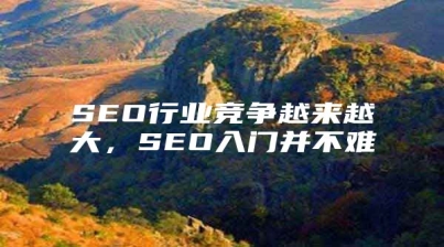 SEO行业竞争越来越大，SEO入门并不难