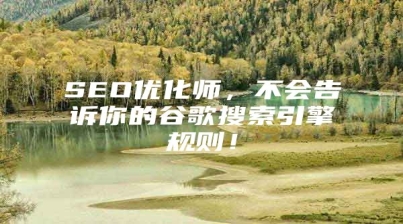 SEO优化师，不会告诉你的谷歌搜索引擎规则！