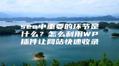 seo中重要的环节是什么？怎么利用WP插件让网站快速收录