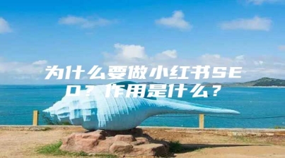 为什么要做小红书SEO？作用是什么？