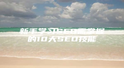 新手学习SEO需掌握的10大SEO技能