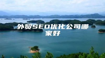 外贸SEO优化公司哪家好