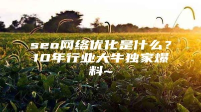 seo网络优化是什么？10年行业大牛独家爆料~