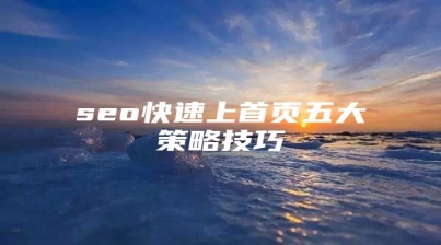 seo快速上首页五大策略技巧