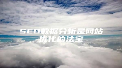 SEO数据分析是网站优化的法宝