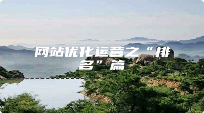 网站优化运营之“排名”篇