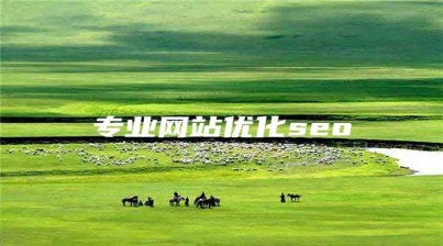 专业网站优化seo