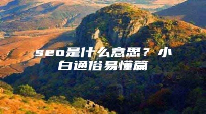 seo是什么意思？小白通俗易懂篇