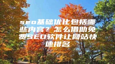 seo基础优化包括哪些内容？怎么借助免费SEO软件让网站快速排名