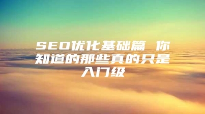 SEO优化基础篇 你知道的那些真的只是入门级