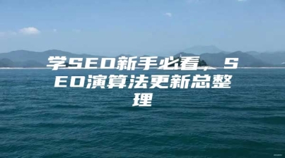 学SEO新手必看，SEO演算法更新总整理