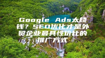 Google Ads太烧钱？SEO优化才是外贸企业最具性价比的推广方式